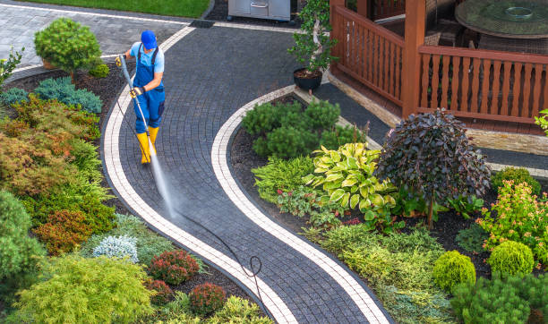 Best Best Pressure Washing Companies  in Spring Lake Park, MN