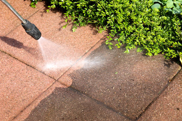 Best Roof Power Washing Services  in Spring Lake Park, MN